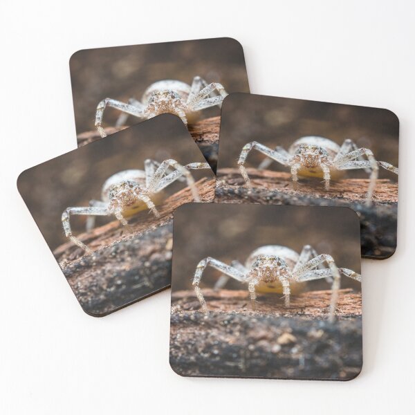 Item preview, White Crab Spider - Thomisidae designed and sold by AronsTinySafari.