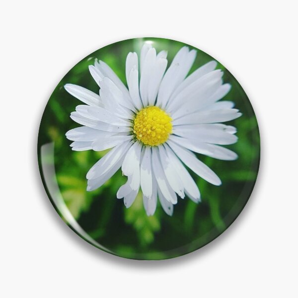 Item preview, White Daisy  designed and sold by BlossomPix.