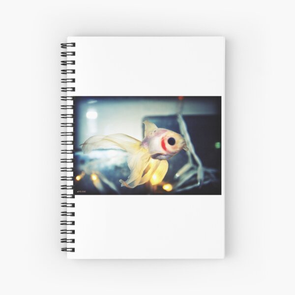 La belle Cahier à spirale