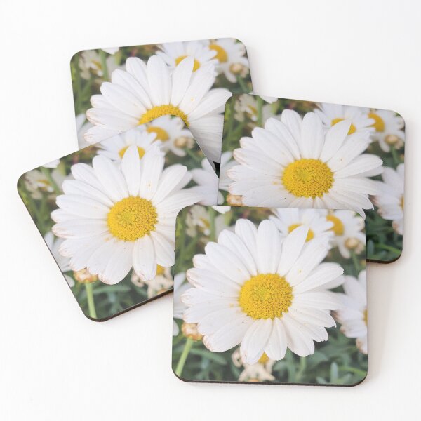Item preview, Giant Daisy in morning Sunshine  designed and sold by BlossomPix.