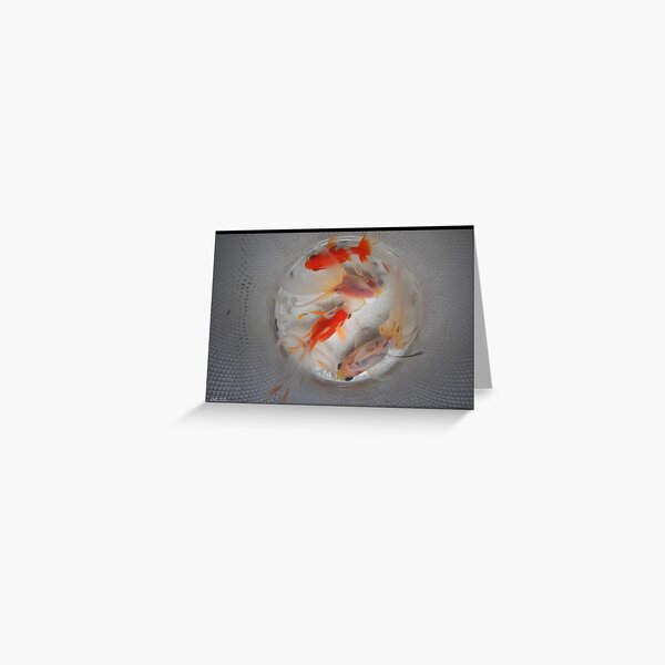 Poissons Carte de vœux