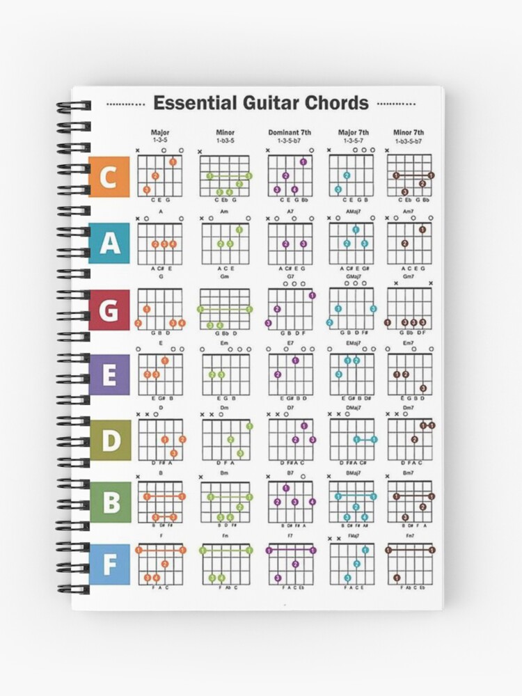5 Basic Guitar Chords - An Over the Shoulder Look