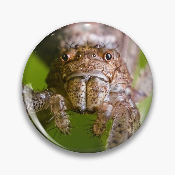 Item preview, Crab Spider - Thomisidae designed and sold by AronsTinySafari.