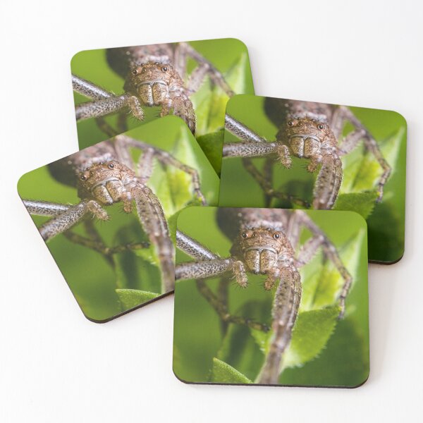 Item preview, Crab Spider - Thomisidae designed and sold by AronsTinySafari.