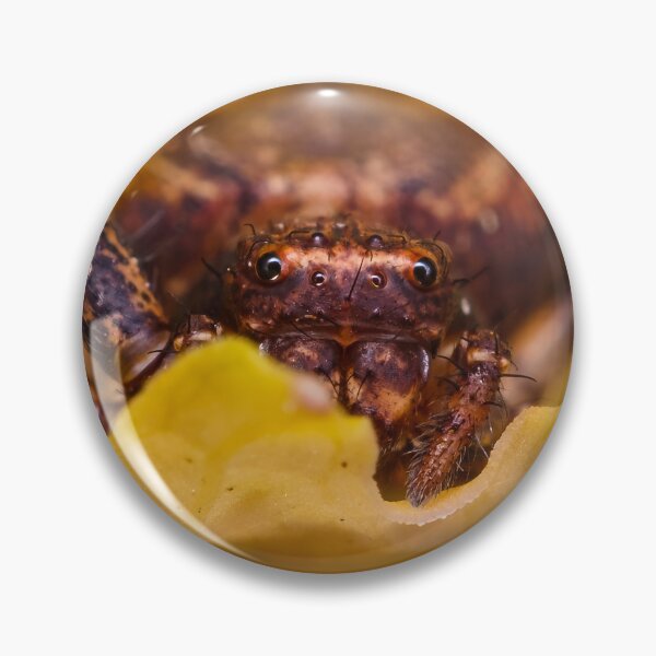 Item preview, Crab Spider - Thomisidae designed and sold by AronsTinySafari.