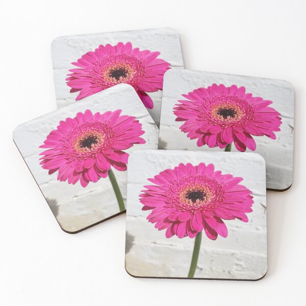 Item preview, Large Pink Gerbera on a White Background designed and sold by BlossomPix.