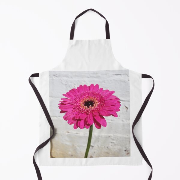 Artikelvorschau, Große rosa Gerbera auf weißem Hintergrund entworfen und verkauft von BlossomPix.