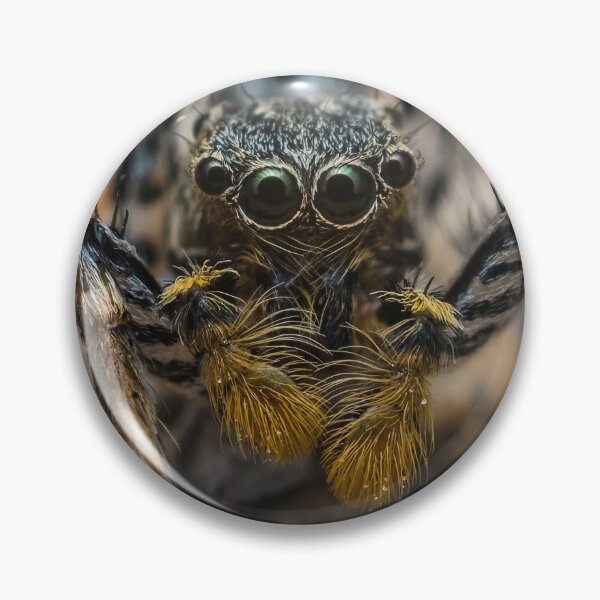Item preview, Zebra Jumping Spider - Salticus Scenicus designed and sold by AronsTinySafari.
