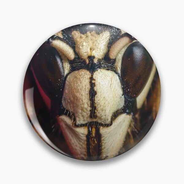 Item preview, Bald Faced Hornet Queen - Dolichovespula Maculata designed and sold by AronsTinySafari.