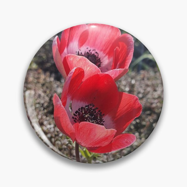 Item preview, A pair of Red Tulips designed and sold by BlossomPix.