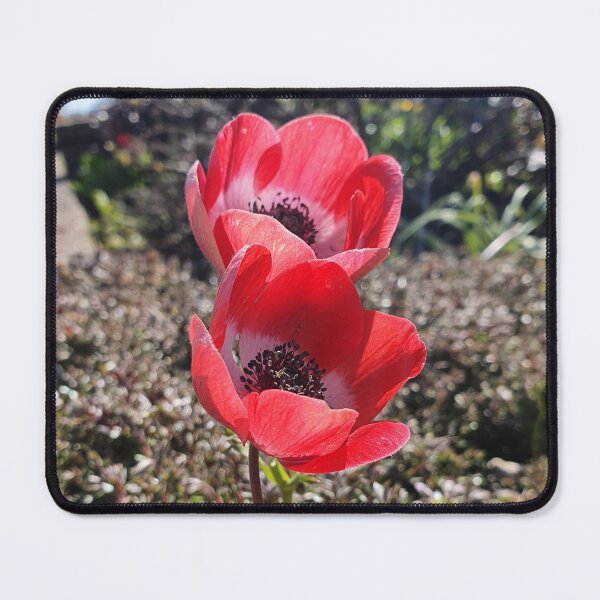 Item preview, A pair of Red Tulips  designed and sold by BlossomPix.