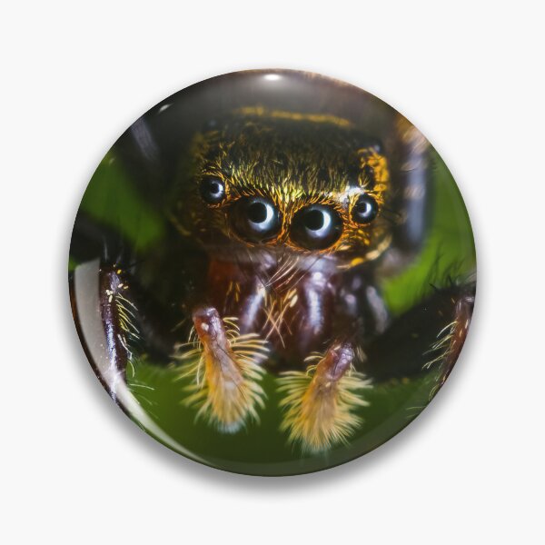Item preview, Moe Jumping Spider - Three Stooges designed and sold by AronsTinySafari.