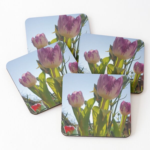 Item preview, White and Pink Tulips  designed and sold by BlossomPix.
