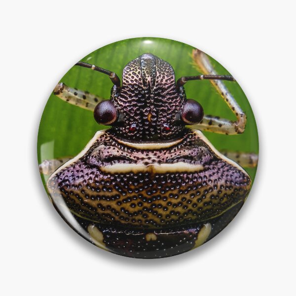 Item preview, Shield Bug designed and sold by AronsTinySafari.
