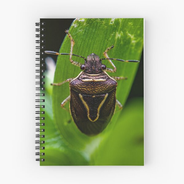 Item preview, Shield Bug designed and sold by AronsTinySafari.