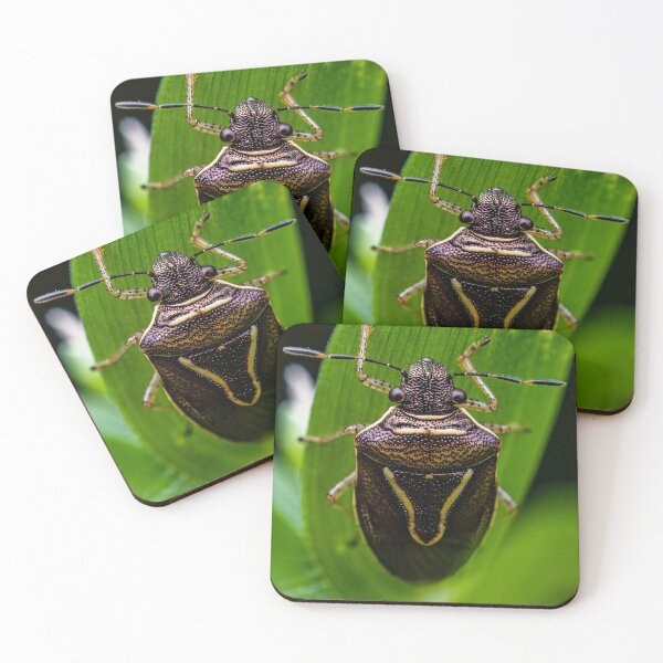 Item preview, Shield Bug designed and sold by AronsTinySafari.