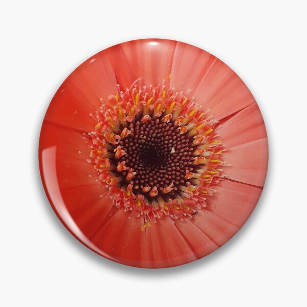 Item preview, Orange Gerbera Flower Close Up designed and sold by BlossomPix.