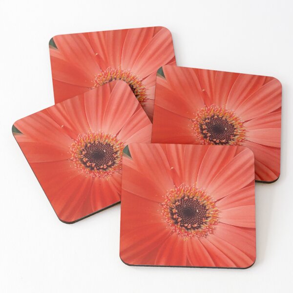 Item preview, Orange Gerbera Flower Close Up designed and sold by BlossomPix.
