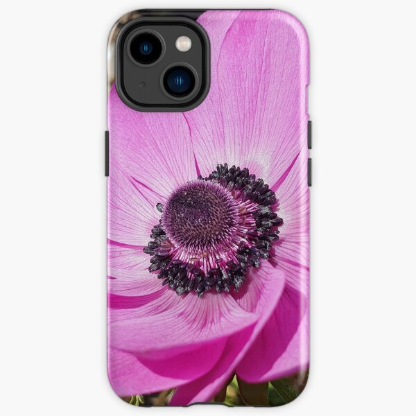 Hot Pink Flower in the Sunshine  Iphone Case