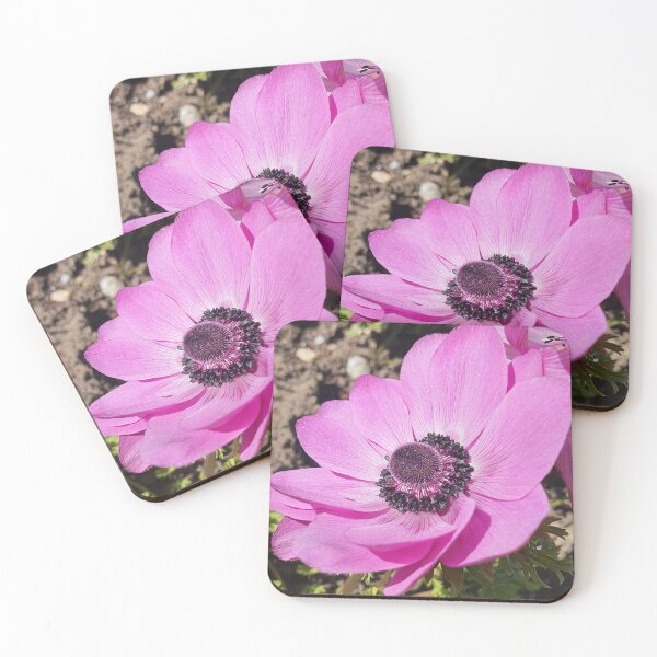 Item preview, Hot Pink Flower in the Sunshine  designed and sold by BlossomPix.