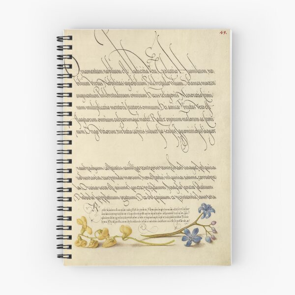 Item preview, Flowers (1561-1596) - Medieval Illuminated Manuscript designed and sold by SALON DES ARTS.