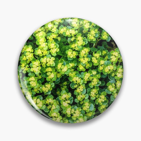 Item preview, Delicate Leaves designed and sold by wumplekin.