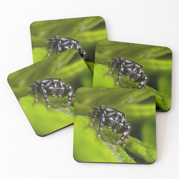 Item preview, Zebra Jumping Spider - Salticus Scenicus designed and sold by AronsTinySafari.