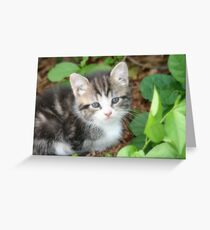 Precious Greeting Card