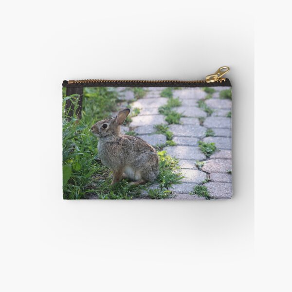 Item preview, I Just Hopped In For A Visit designed and sold by stephenralph.