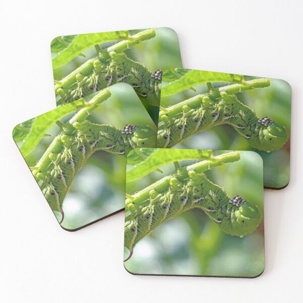 Item preview, Tomato Hornworm designed and sold by Frankie Cat Photography.