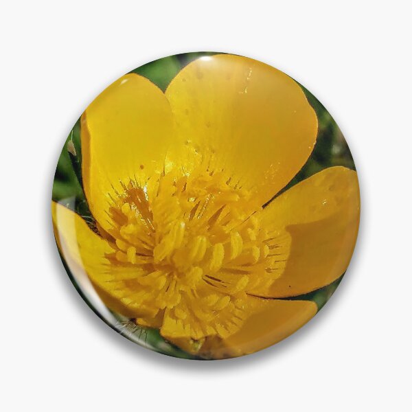 Item preview, Buttercups  designed and sold by wumplekin.