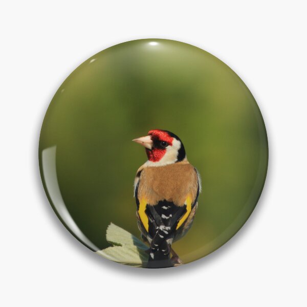 Item preview, Goldfinch designed and sold by Jon Lees.