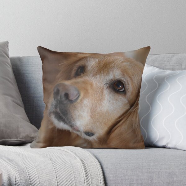 Golden Retriever merchandise 9 Throw Pillow