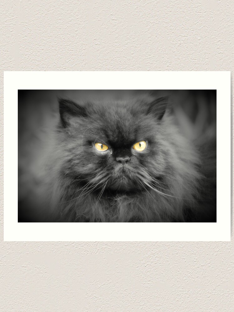 Alternate view of Persian cat Art Print