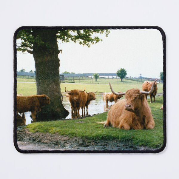 Item preview, Hielan Coo Fold II designed and sold by tomg.