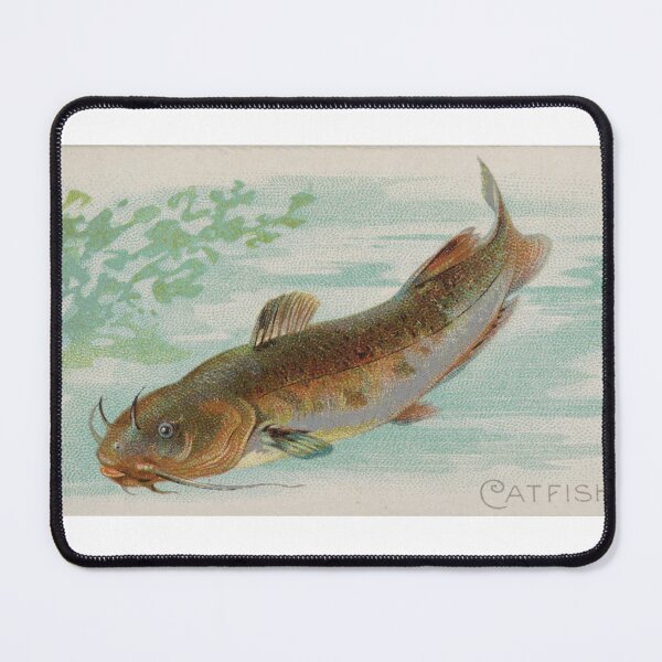 Item preview, Fishing the Times - Catfish designed and sold by Tall History.