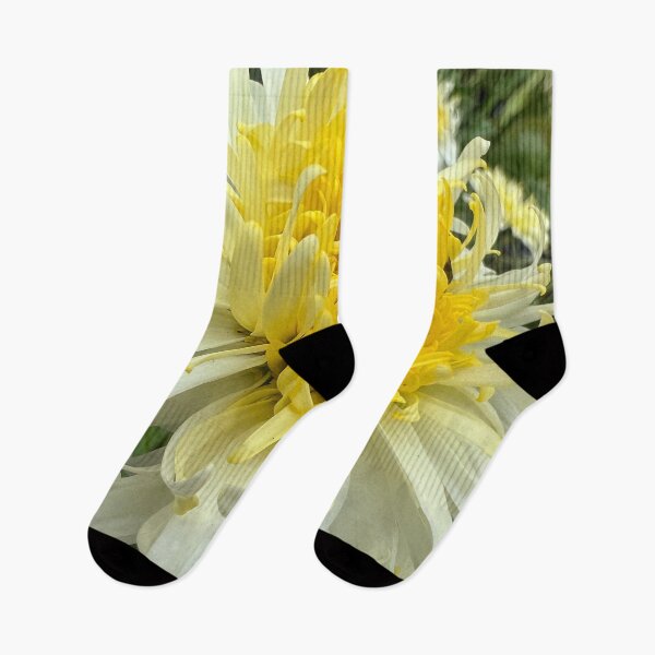Item preview, Dahlia Abundant Joy designed and sold by Photomersion.