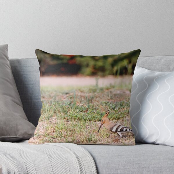 Item preview, Hoopoe Bird on the grass looking for a food designed and sold by EG Creativity Art.