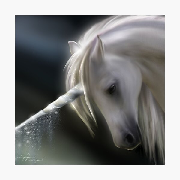 Monoceros Photographic Print
