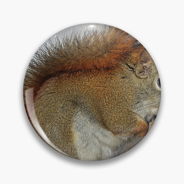 Item preview, Squirrel designed and sold by Taceo10.