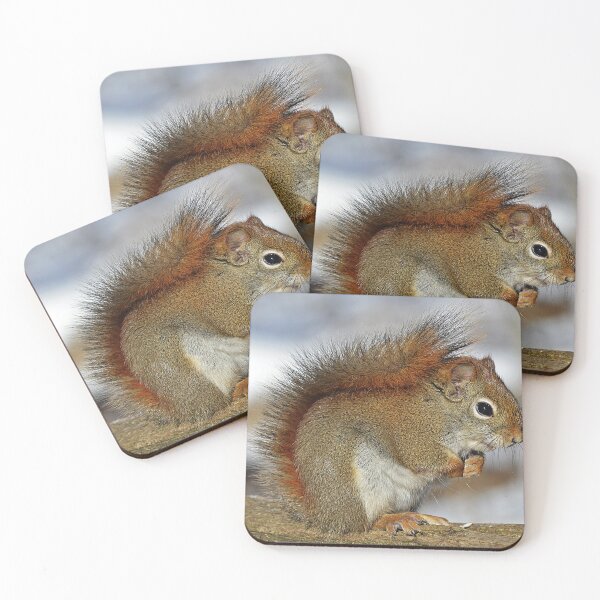 Item preview, Squirrel designed and sold by Taceo10.