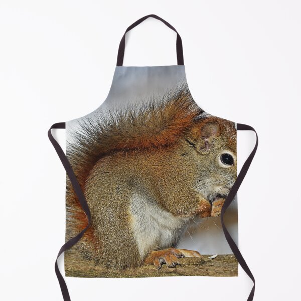 Item preview, Squirrel designed and sold by Taceo10.