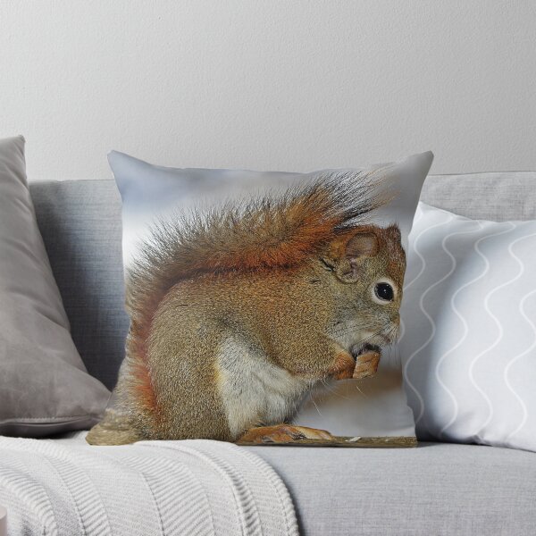 Item preview, Squirrel designed and sold by Taceo10.