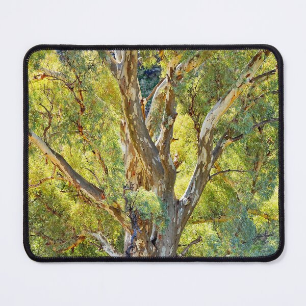 Item preview, Eucalypt designed and sold by Harry Oldmeadow.