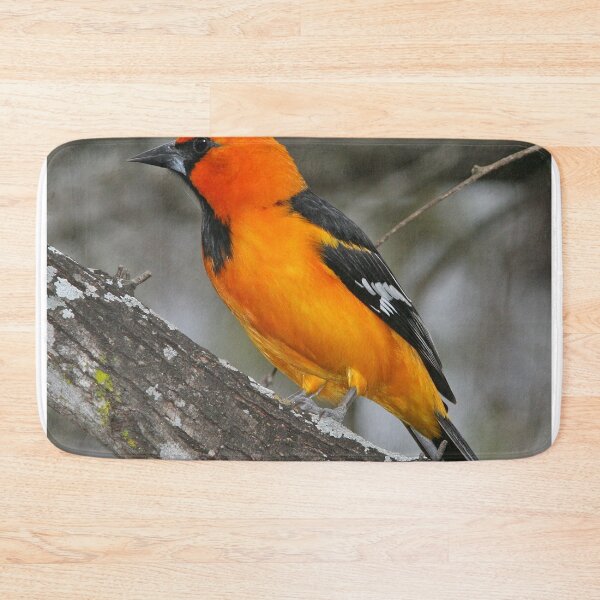Item preview, Pájaro oropéndola de Baltimore designed and sold by Taceo10.