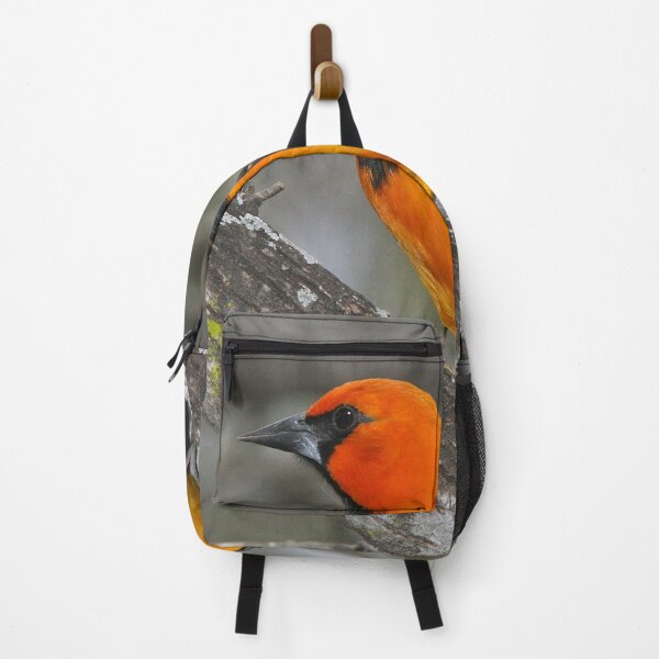 Item preview, Baltimore Oriole Bird designed and sold by Taceo10.