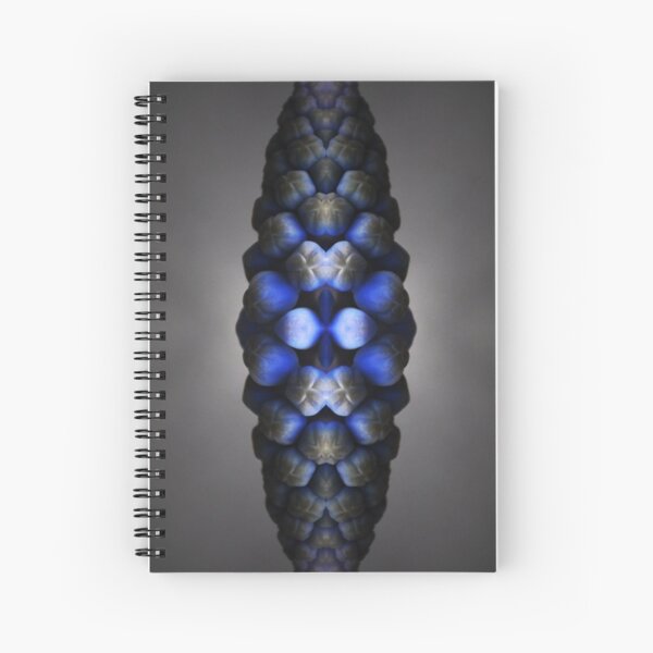 Sagitta caeruleum Cahier à spirale