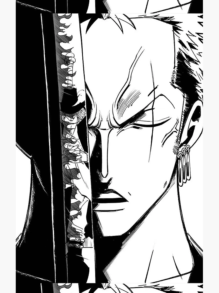 mangaterial  One piece manga, Zoro, Zoro one piece