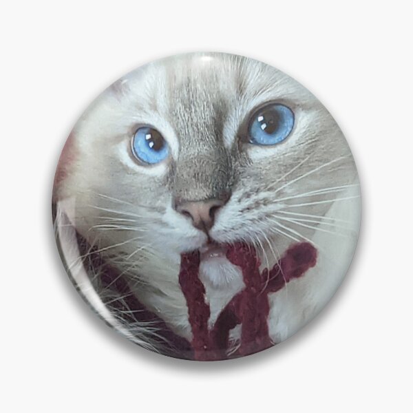Item preview, Lynx ragdoll baby cat designed and sold by Fluffycat2020.