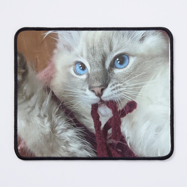 Item preview, Lynx ragdoll baby cat designed and sold by Fluffycat2020.